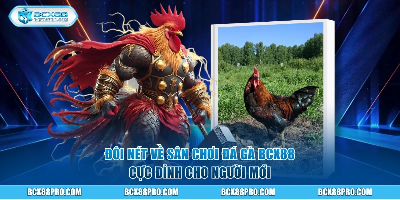 Đôi nét về sân chơi đá gà BCX88 cực đỉnh
