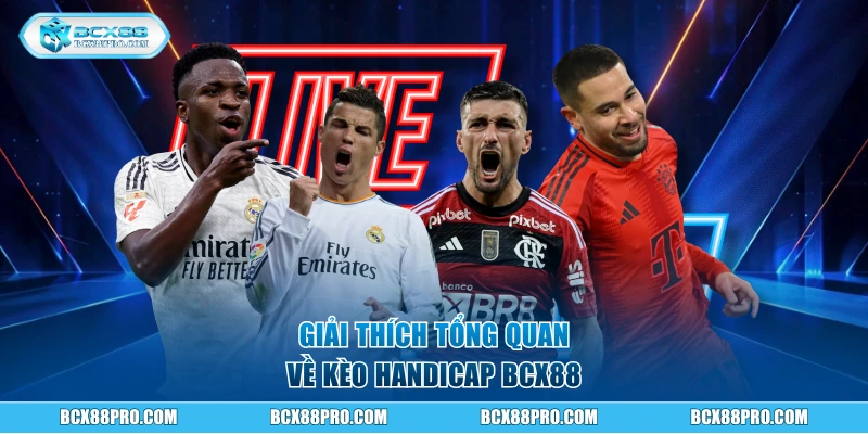 Kèo Handicap BCX88 - Bí Kíp Đọc Vị Và Bắt Kèo Chuẩn Xác 1 Giải thích tổng quan về kèo Handicap BCX88