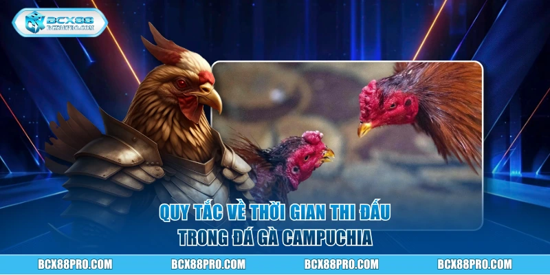 Quy tắc về thời gian thi đấu trong đá gà Campuchia