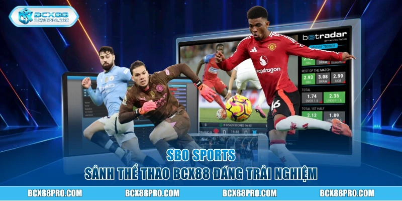 SBO Sports - Sảnh thể thao BCX88 đáng trải nghiệm