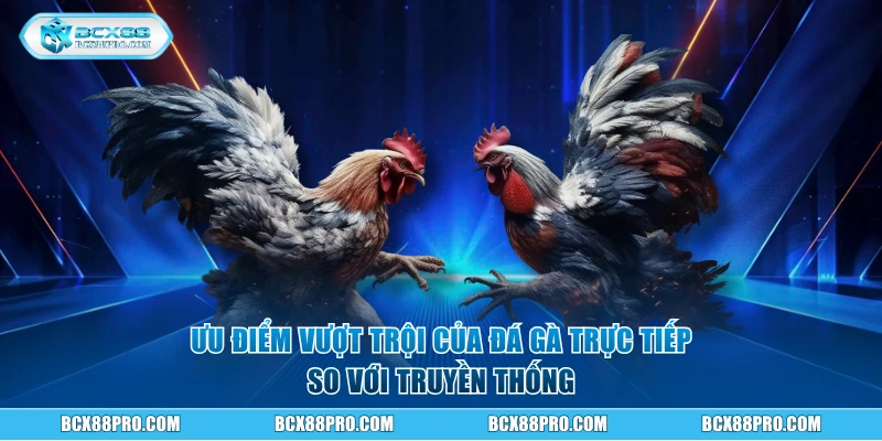 Ưu điểm vượt trội của đá gà trực tiếp so với truyền thống